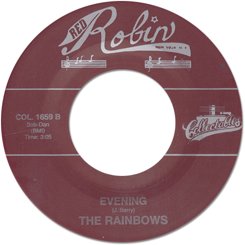 The Rainbows (possibly feat. Don Covay) : Mary Lee - 7" CS from USA, 1980