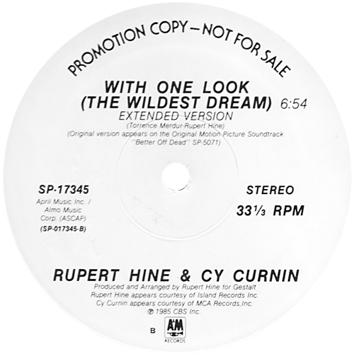 Rupert Hine : With One Look (with Cy Curnin) - 12" from USA, 1985