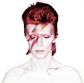 click here for all items by David Bowie