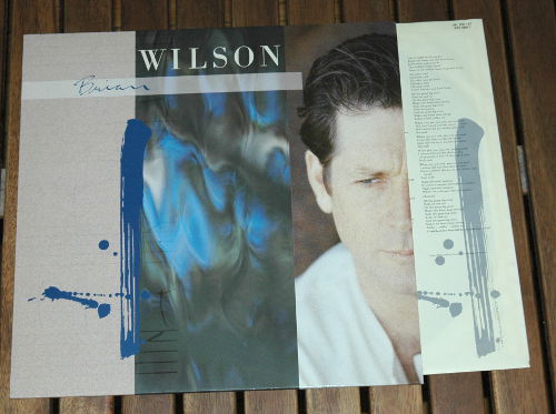 Brian Wilson (The Beach Boys) - Brian Wilson - Sire 925669-1 Germany LP