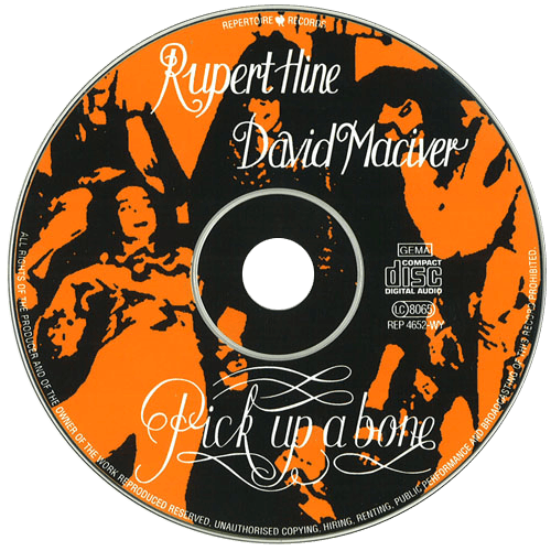 Rupert Hine : Pick Up A Bone - CD from Germany, 1997