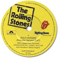 The Rolling Stones: Wild Horses - Austria 2015