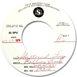 The Rolling Stones: Shattered - USA 1978