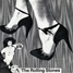 The Rolling Stones : When The Whip Comes Down - USA 1981 Tour Promotions Inc. TP 001